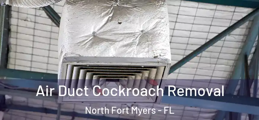 Air Duct Cockroach Removal North Fort Myers - FL