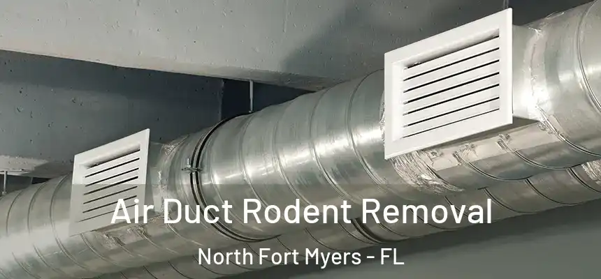  Air Duct Rodent Removal North Fort Myers - FL