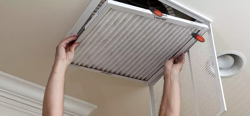 Preventive Cockroach-Proofing for Ducts in North Fort Myers