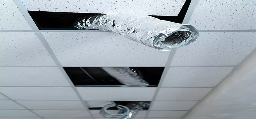 Affordable HVAC Sanitizing After Pest Removal in North Fort Myers