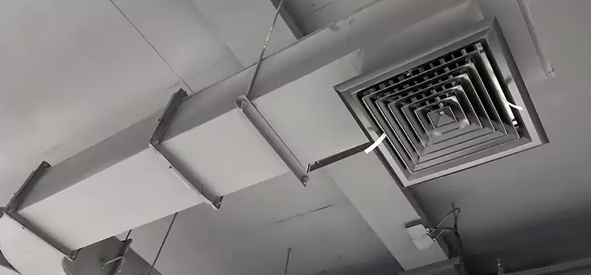 Restorative Allergy Relief Vent Cleaning – Coil, Blower & Housing Detail in North Fort Myers