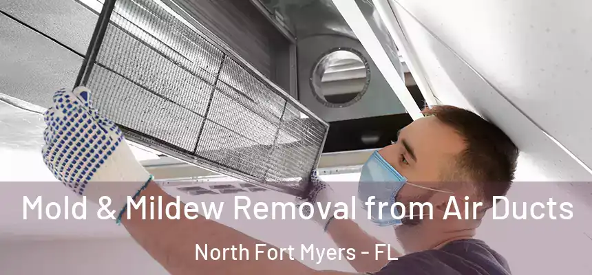  Mold & Mildew Removal from Air Ducts North Fort Myers - FL