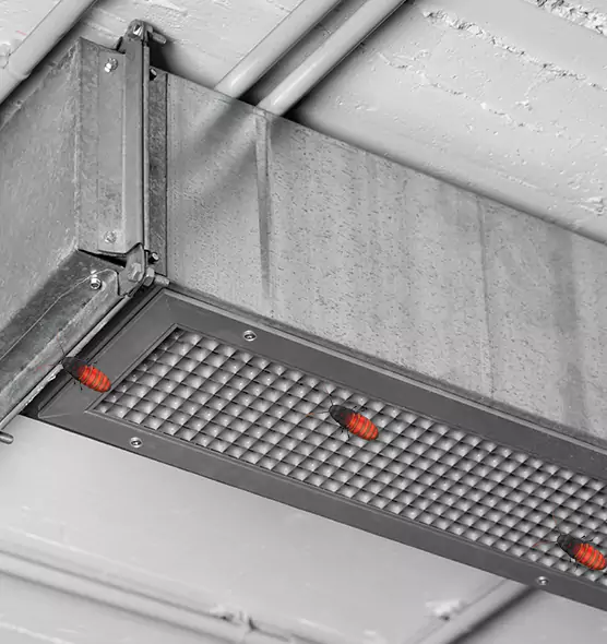 About Air Duct Cockroach Removal in North Fort Myers, FL