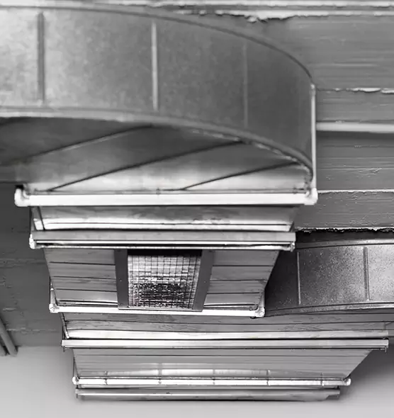 Professional Air Duct Pest Removal in North Fort Myers, FL