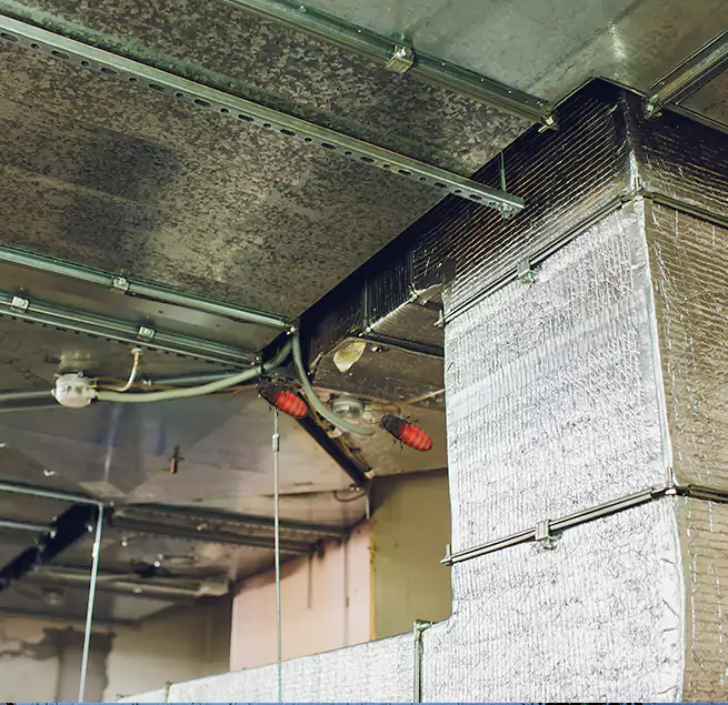 Why Homeowners & Businesses Trust Us in North Fort Myers, FL?