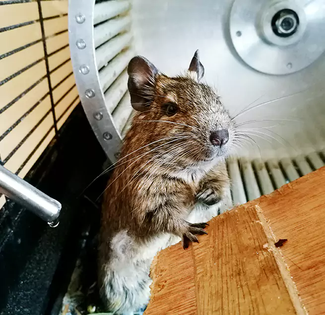 Why Homeowners & Businesses Trust Us North Fort Myers, FL?