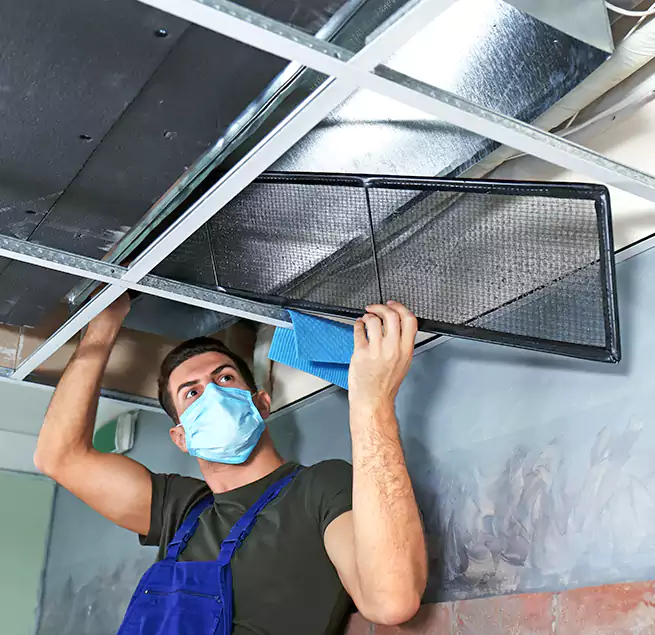 Why Homeowners Businesses Trust Us in North Fort Myers, FL